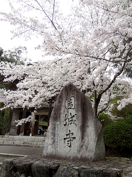 O䎛iV䎛@{R鎛j̍
