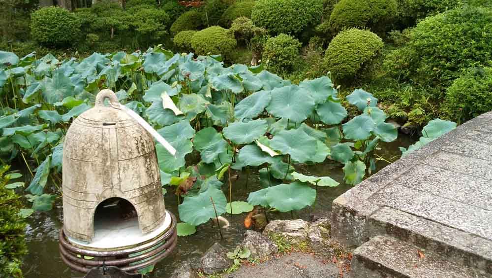 O䎛