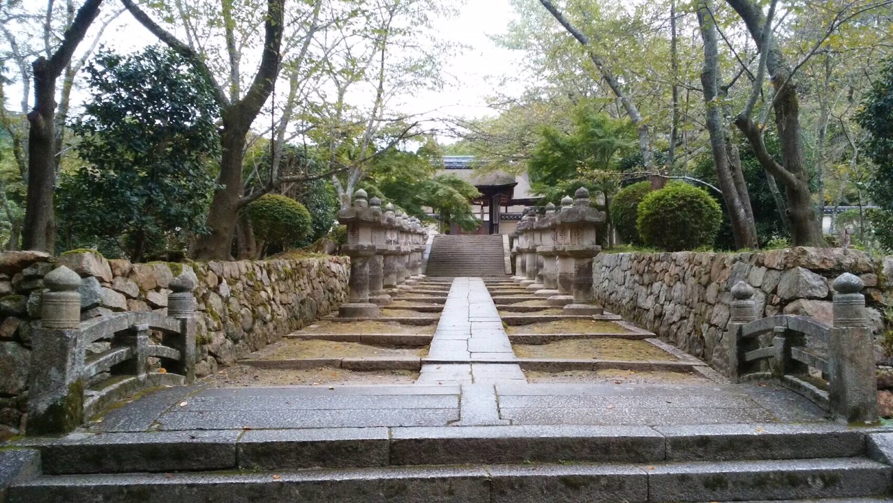 O䎛