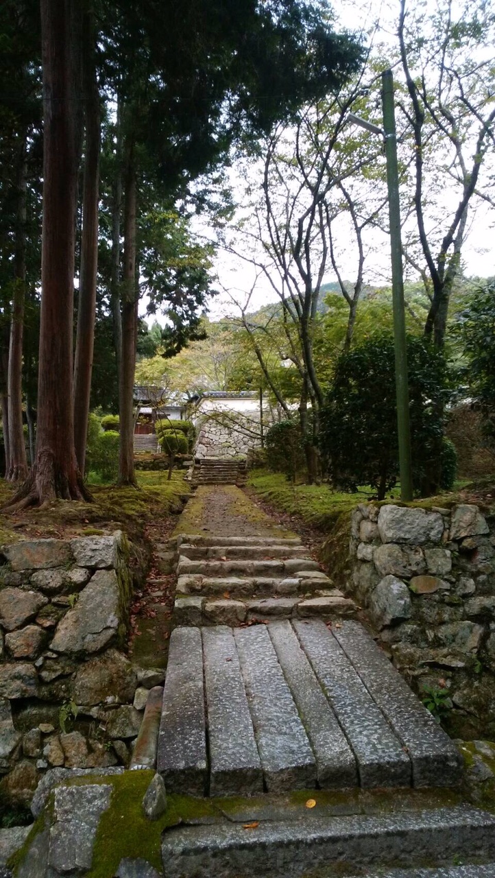 O䎛