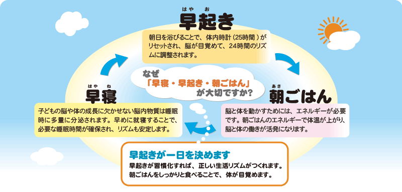 なぜ「早寝・早起き・朝ごはん」が大切ですか？