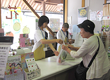 消費者を迎えての体験田植え・稲刈りのようす