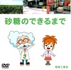 砂糖のできるまで.JPG