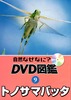 9トノサマバッタ.JPG