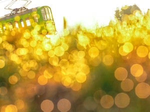 近江鉄道写真展01.jpg