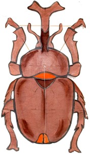 親子凧作り教室～カブトムシの凧を作ろう～.jpg